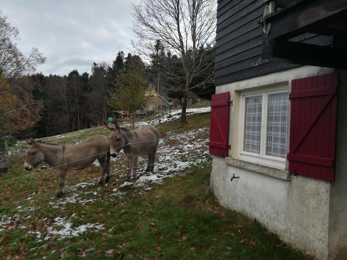 Le Chalet De Rothenbuhl Dabo Exterior foto